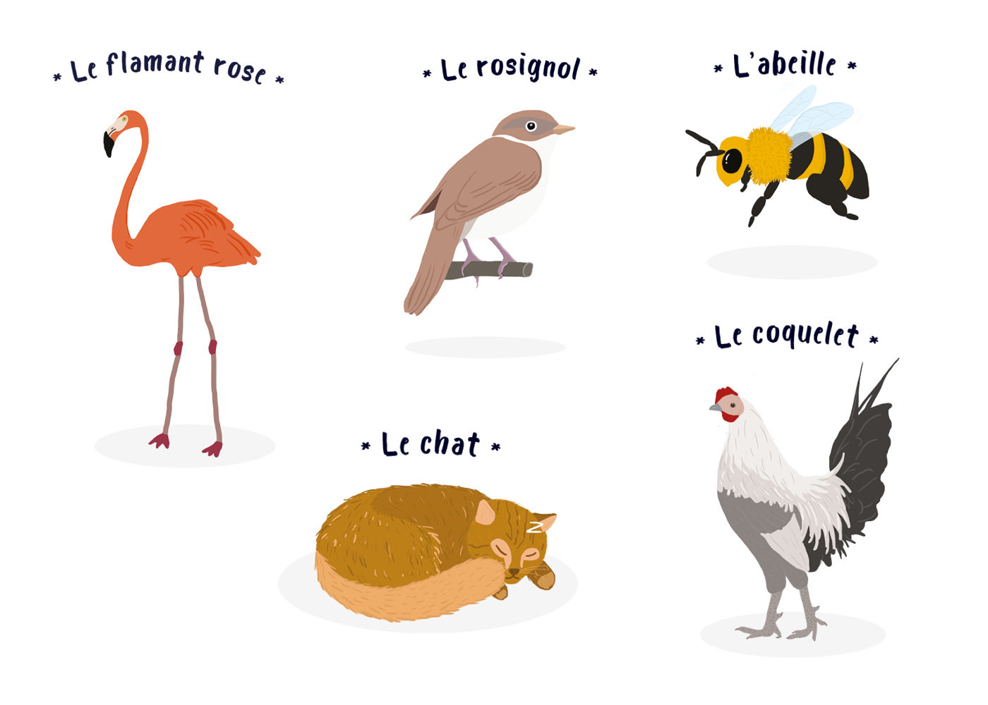 illustration-dessin-danimaux-paru-dans-le-magazine-bibouille illustration-dessin-danimaux-paru-dans-le-magazine-bibouille